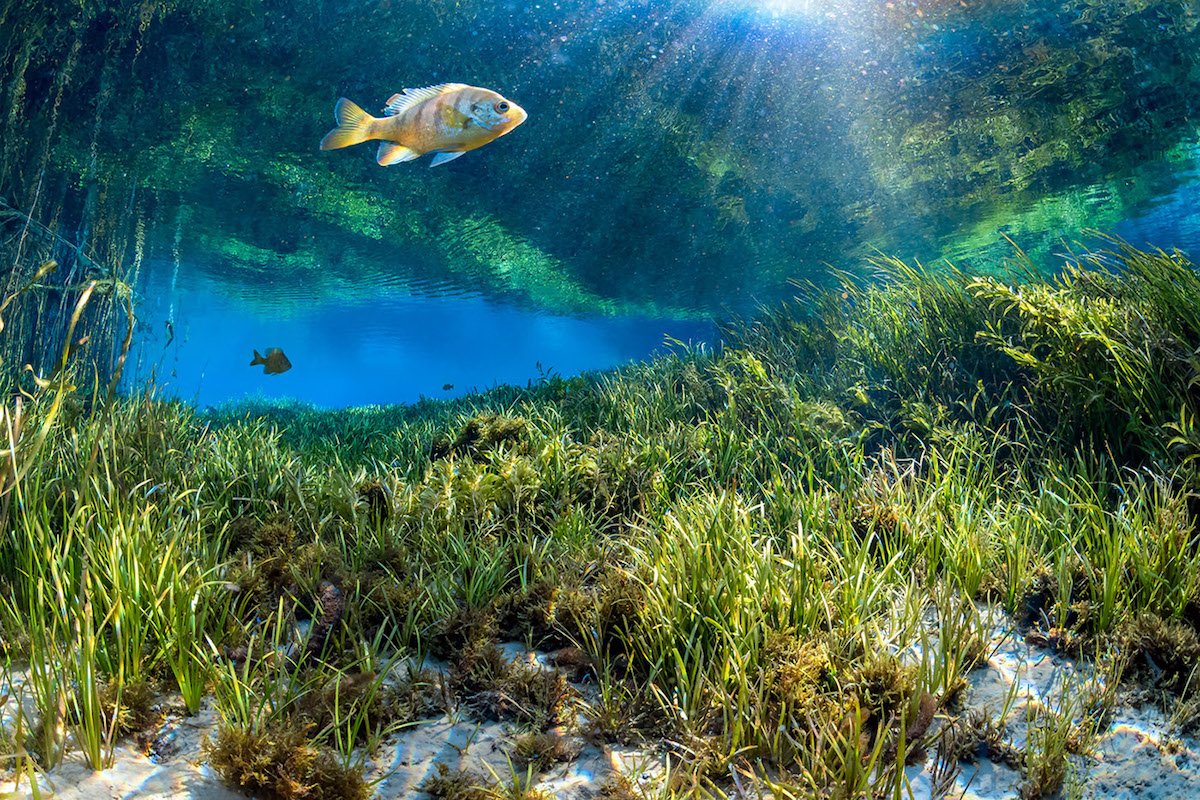 🏞️ 시오가마 냉천 (塩釜の冷泉) 이미지 8